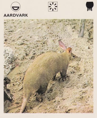 1975-80 Leisure Books Wildlife Treasury #6101-01 Aardvark Front