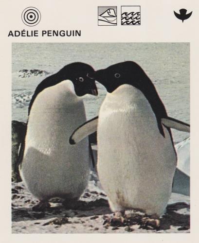1975-80 Leisure Books Wildlife Treasury #6101-05 Adelie Penguin Front