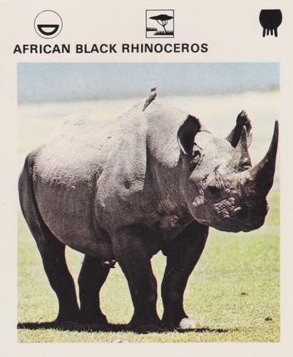 1975-80 Leisure Books Wildlife Treasury #6101-06 African Black Rhinoceros Front