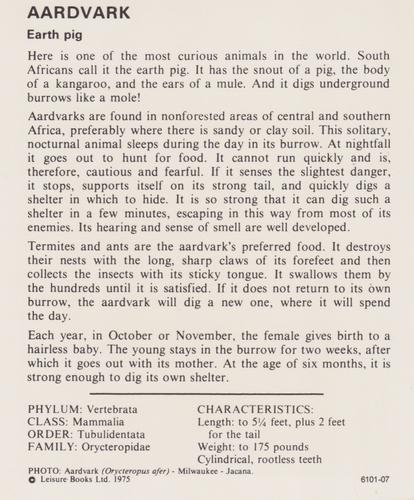1975-80 Leisure Books Wildlife Treasury #6101-07 Aardvark Back