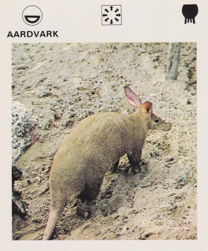 1975-80 Leisure Books Wildlife Treasury #6101-07 Aardvark Front