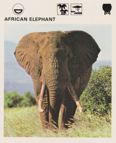 1975-80 Leisure Books Wildlife Treasury #6101-07 African Elephant Front