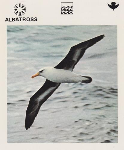 1975-80 Leisure Books Wildlife Treasury #6101-10 Albatross Front