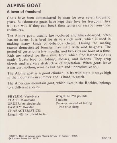 1975-80 Leisure Books Wildlife Treasury #6101-13 Alpine Goat Back