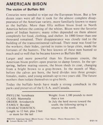 1975-80 Leisure Books Wildlife Treasury #6101-14 American Bison Back