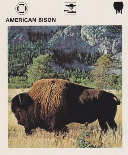 1975-80 Leisure Books Wildlife Treasury #6101-14 American Bison Front