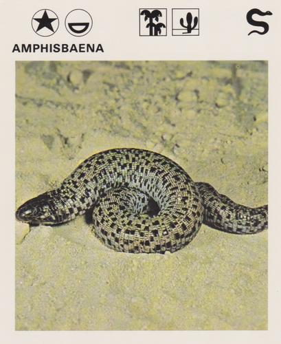 1975-80 Leisure Books Wildlife Treasury #6101-16 Amphisbaena Front