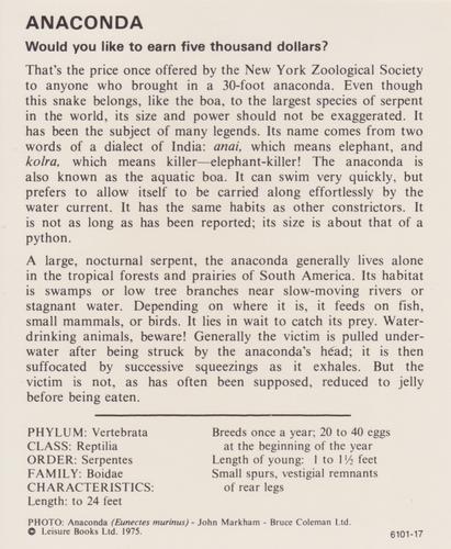 1975-80 Leisure Books Wildlife Treasury #6101-17 Anaconda Back
