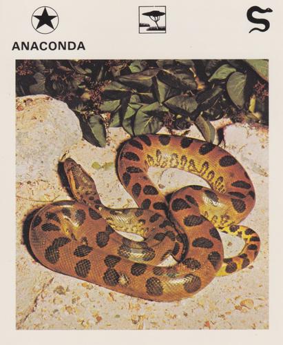 1975-80 Leisure Books Wildlife Treasury #6101-17 Anaconda Front