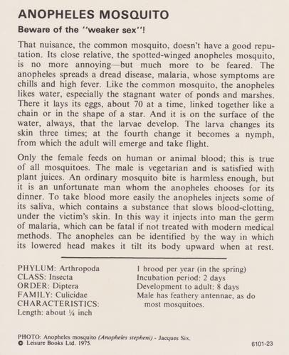 1975-80 Leisure Books Wildlife Treasury #6101-23 Anopheles Mosquito Back