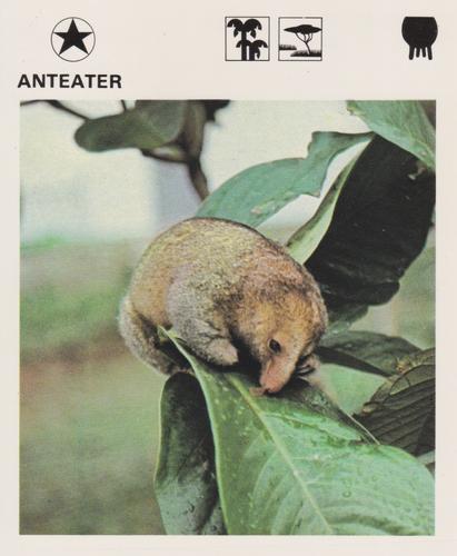 1975-80 Leisure Books Wildlife Treasury #6102-01 Anteater Front