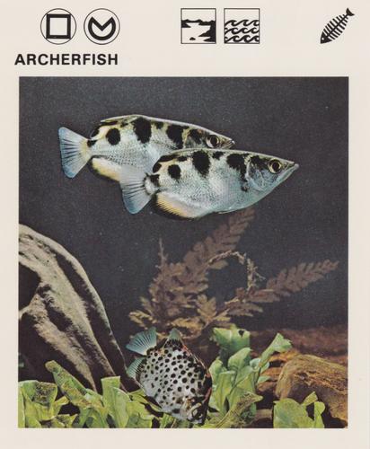 1975-80 Leisure Books Wildlife Treasury #6102-03 Archerfish Front