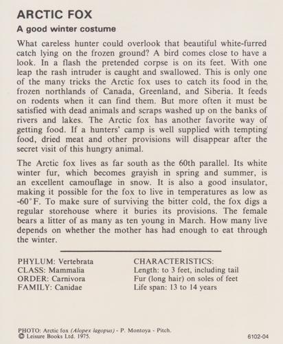 1975-80 Leisure Books Wildlife Treasury #6102-04 Arctic Fox Back