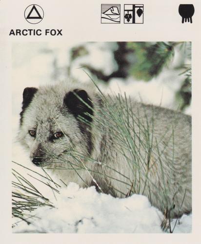 1975-80 Leisure Books Wildlife Treasury #6102-04 Arctic Fox Front
