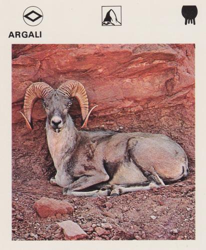 1975-80 Leisure Books Wildlife Treasury #6102-05 Argali Front