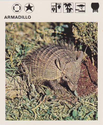 1975-80 Leisure Books Wildlife Treasury #6102-06 Armadillo Front