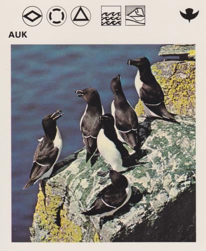 1975-80 Leisure Books Wildlife Treasury #6102-08 Auk Front