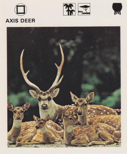 1975-80 Leisure Books Wildlife Treasury #6102-09 Axis Deer Front