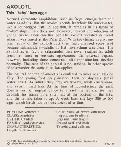 1975-80 Leisure Books Wildlife Treasury #6102-10 Axolotl Back