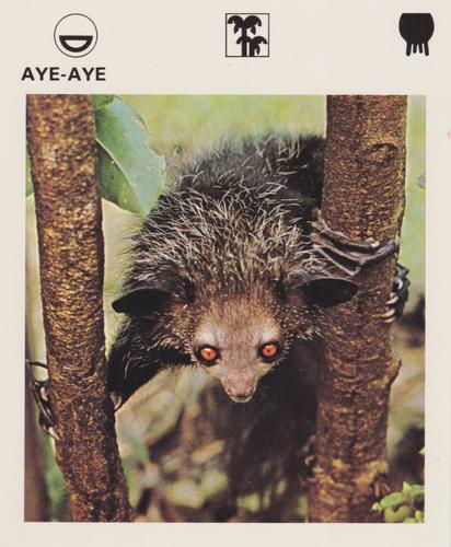 1975-80 Leisure Books Wildlife Treasury #6102-11 Aye-Aye Front