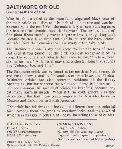 1975-80 Leisure Books Wildlife Treasury #6102-15 Baltimore Oriole Back