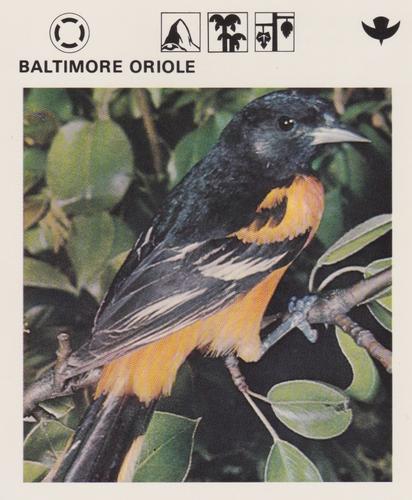 1975-80 Leisure Books Wildlife Treasury #6102-15 Baltimore Oriole Front