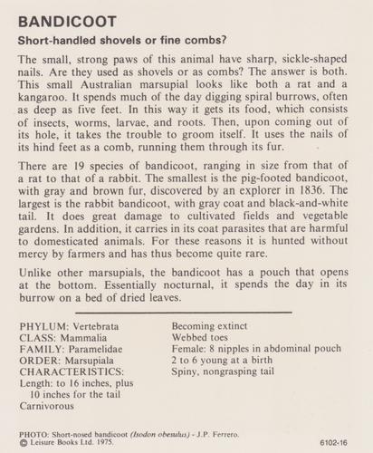 1975-80 Leisure Books Wildlife Treasury #6102-16 Bandicoot Back