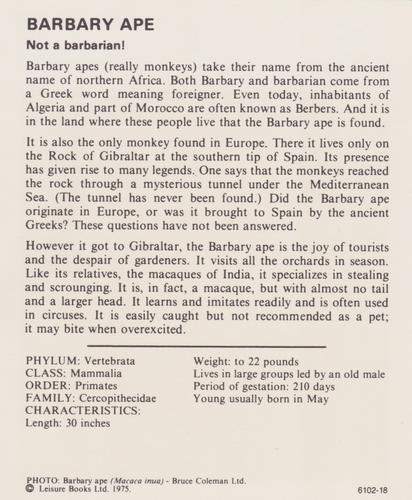 1975-80 Leisure Books Wildlife Treasury #6102-18 Barbary Ape Back