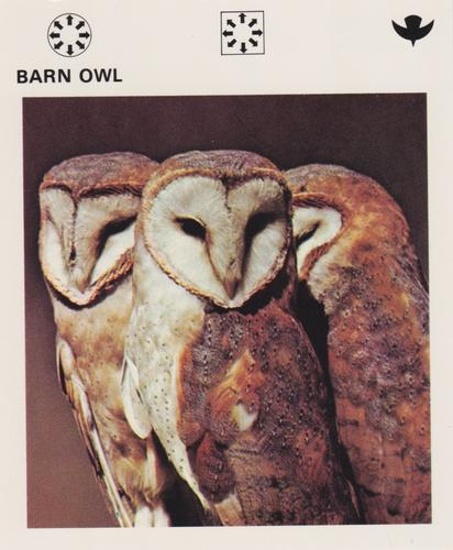 1975-80 Leisure Books Wildlife Treasury #6102-20 Barn Owl Front
