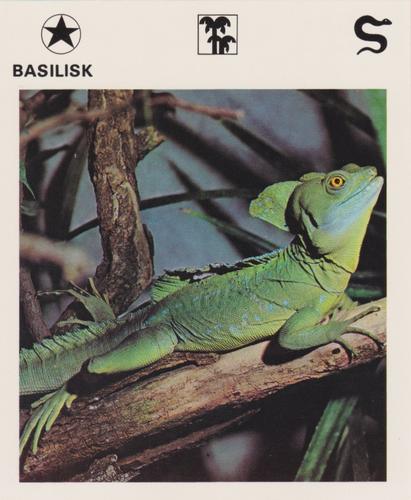 1975-80 Leisure Books Wildlife Treasury #6102-21 Basilisk Front