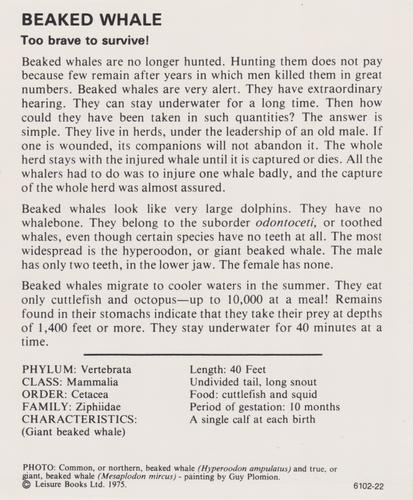 1975-80 Leisure Books Wildlife Treasury #6102-22 Beaked Whale Back