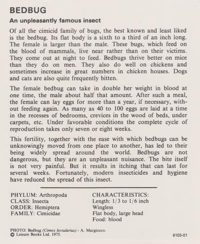 1975-80 Leisure Books Wildlife Treasury #6103-01 Bedbug Back