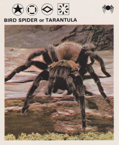 1975-80 Leisure Books Wildlife Treasury #6103-05 Bird Spider or Tarantula Front