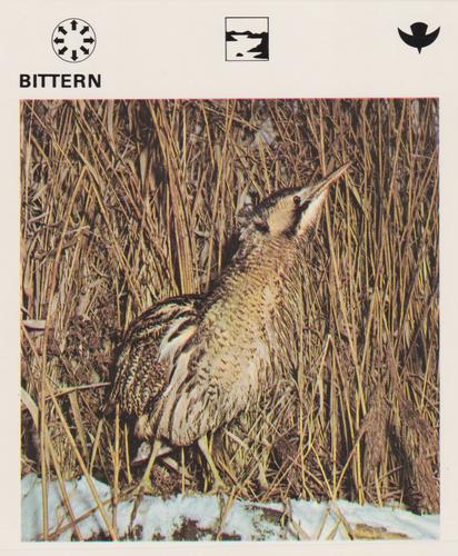 1975-80 Leisure Books Wildlife Treasury #6103-06 Bittern Front