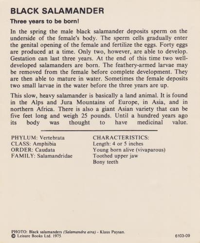 1975-80 Leisure Books Wildlife Treasury #6103-09 Black Salamander Back