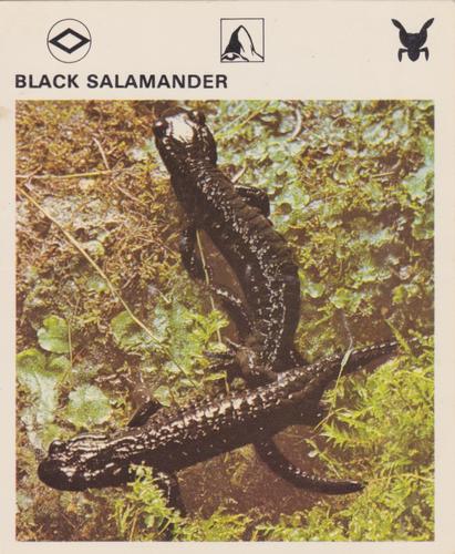 1975-80 Leisure Books Wildlife Treasury #6103-09 Black Salamander Front