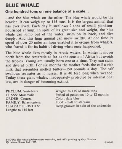 1975-80 Leisure Books Wildlife Treasury #6103-12 Blue Whale Back