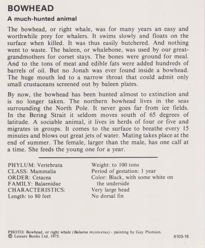 1975-80 Leisure Books Wildlife Treasury #6103-16 Bowhead Back