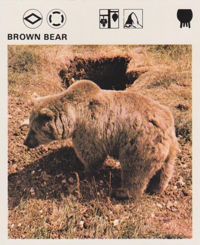 1975-80 Leisure Books Wildlife Treasury #6103-19 Brown Bear Front