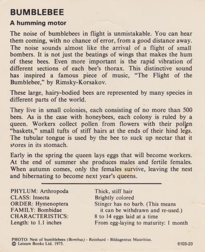 1975-80 Leisure Books Wildlife Treasury #6103-23 Bumblebee Back