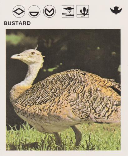 1975-80 Leisure Books Wildlife Treasury #6104-05 Bustard Front