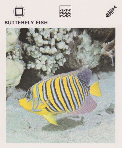 1975-80 Leisure Books Wildlife Treasury #6104-06 Butterfly Fish Front