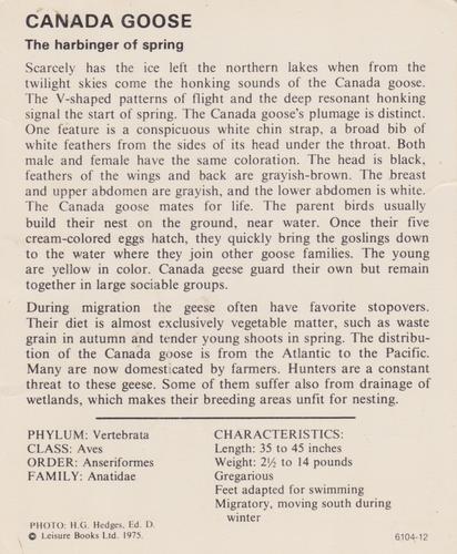 1975-80 Leisure Books Wildlife Treasury #6104-12 Canada Goose Back