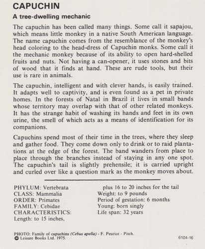 1975-80 Leisure Books Wildlife Treasury #6104-16 Capuchin Back