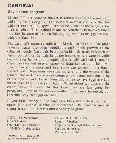1975-80 Leisure Books Wildlife Treasury #6104-19 Cardinal Back