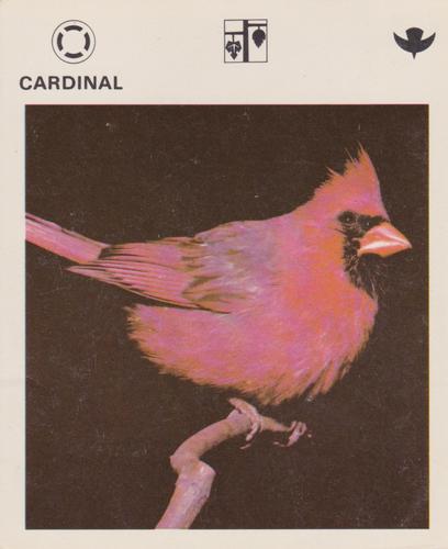 1975-80 Leisure Books Wildlife Treasury #6104-19 Cardinal Front