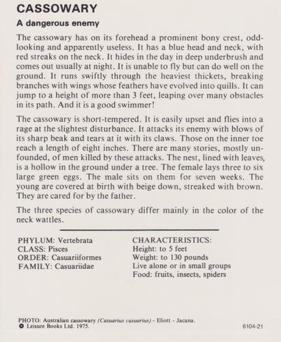 1975-80 Leisure Books Wildlife Treasury #6104-21 Cassowary Back