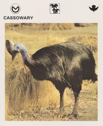 1975-80 Leisure Books Wildlife Treasury #6104-21 Cassowary Front