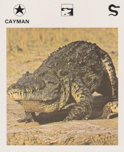 1975-80 Leisure Books Wildlife Treasury #6104-23 Cayman Front