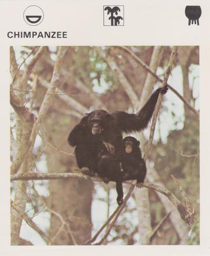 1975-80 Leisure Books Wildlife Treasury #6105-07 Chimpanzee Front